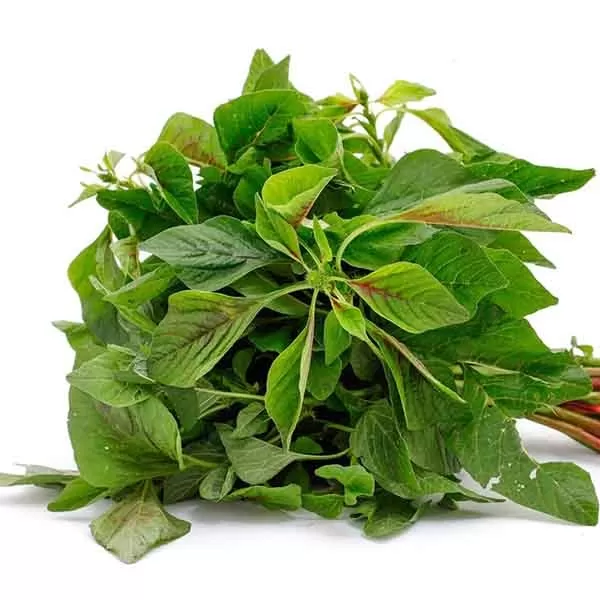 Amarnth Leaves