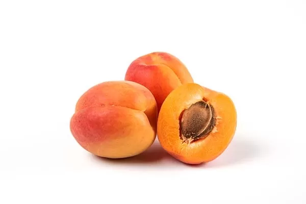Apricots