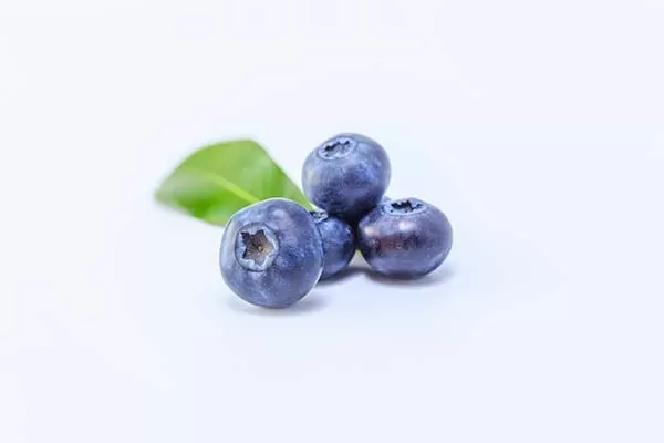 Berries