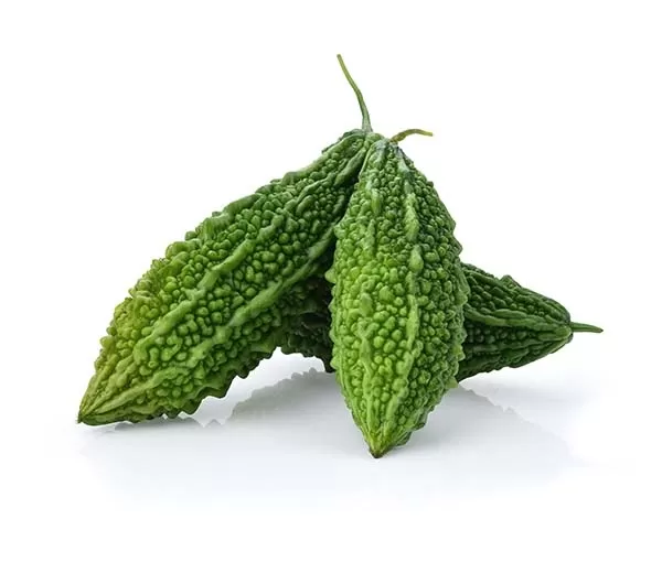 Bitter Gourd