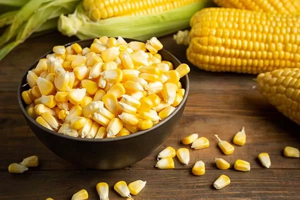 Corn