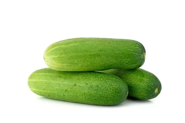 Cucumber