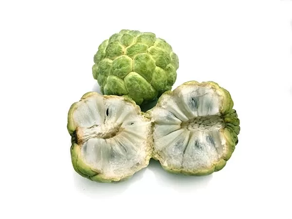 Custard Apple