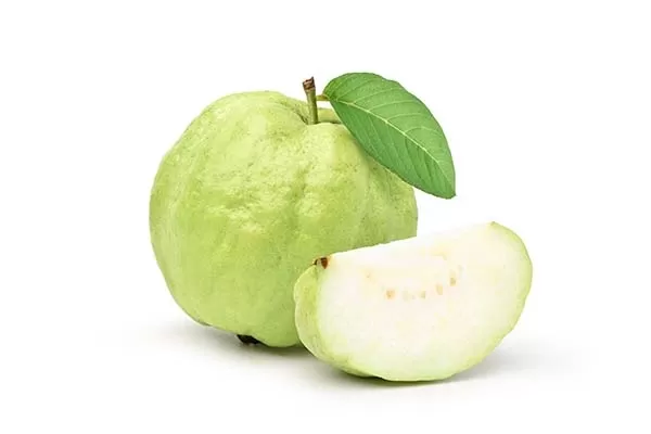 Guava