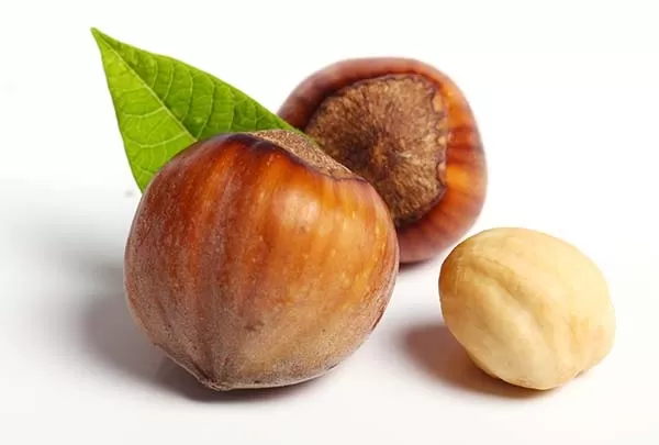 Hazelnuts