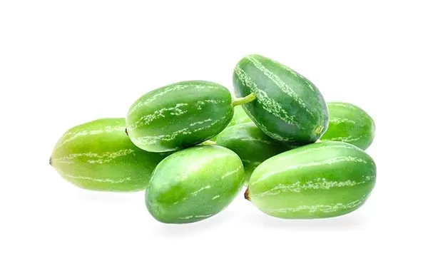 Ivy Gourd