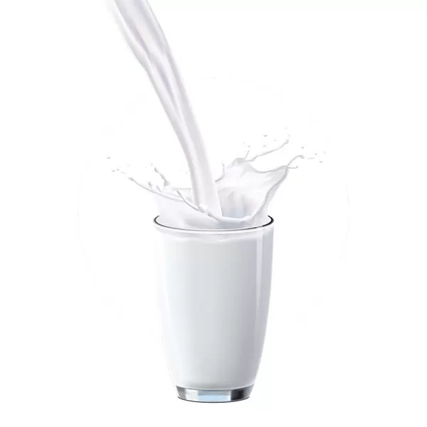Camel Milk