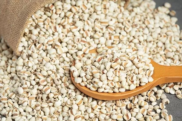 Millet