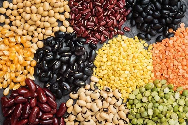 Oil Seeds