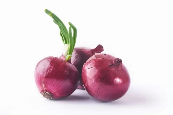 Import Onion in Bulk