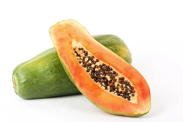 Papaya