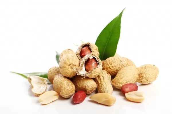 Import Peanut or Groundnut Oil