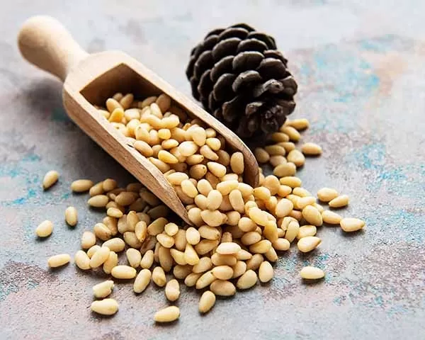 Pine Nuts