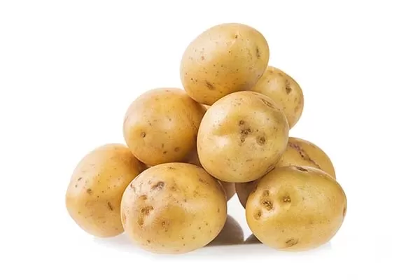 Potato