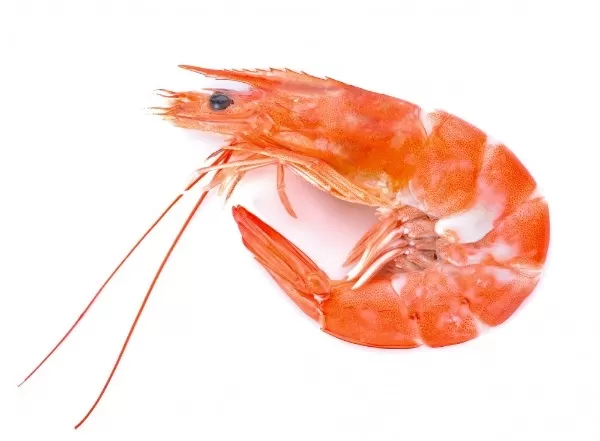 Import Frozen Prawn