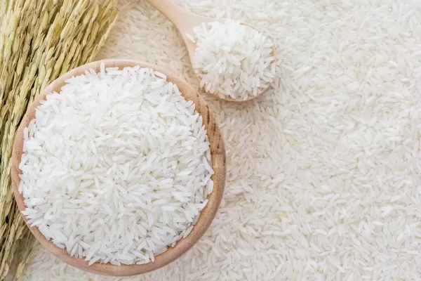 Import Rice in Bulk