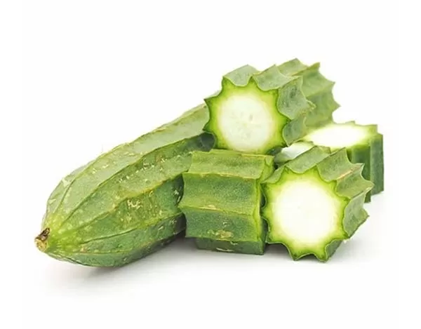 Ridge Gourd