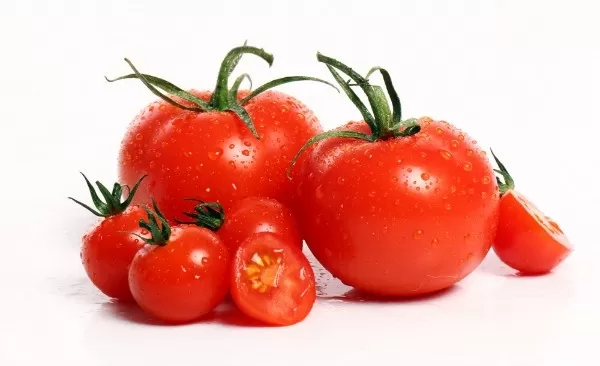 Import Tomato in Bulk