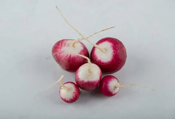 Turnip