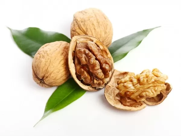Import Walnut Dry Fruit